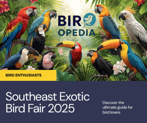 Southeast Exotic Bird Fair 2024