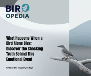 What Happens When Bird Alone Dies