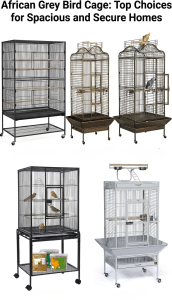 African Grey Bird Cage