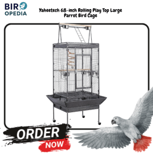 Best Bird Cage for African Grey Yaheetech 68-inch Rolling Play Top Parrot Cage