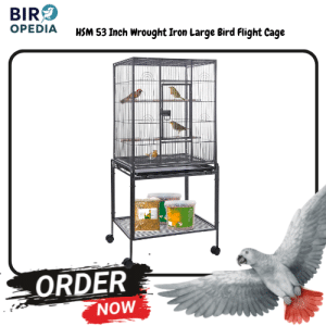 Best Bird Cage for African Grey HSM 53-inch Wrought Iron Large Flight Cage