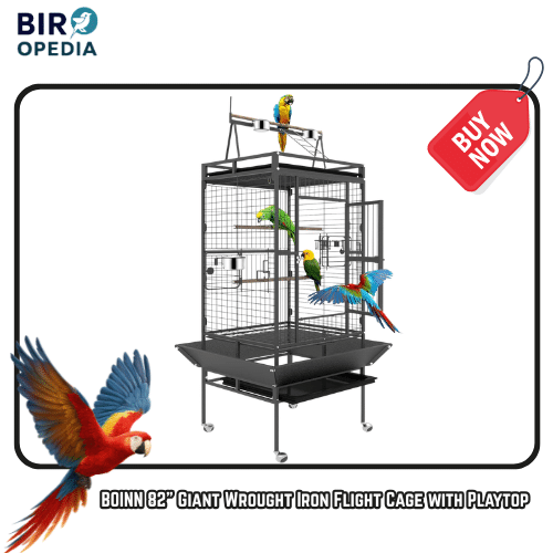 Best Bird Cage for Parrots BOINN 82 Giant Wrought Iron Flight Cage with Playtop