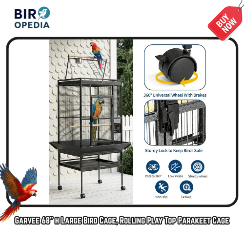 Best Bird Cage for Parrots Garvee 68 h Large Bird Cage, Rolling Play Top Parakeet Cage