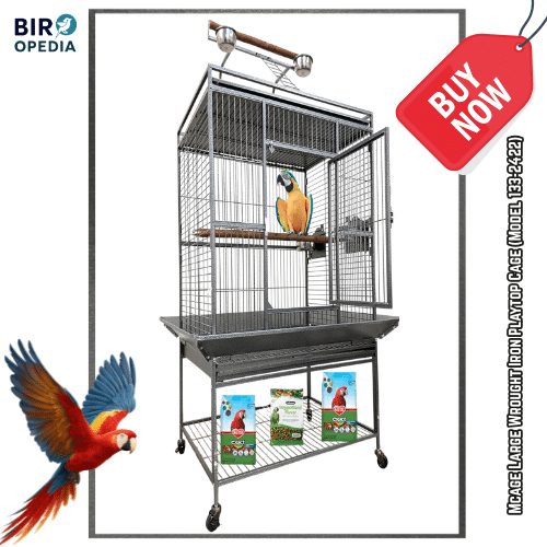 Best Bird Cage for Parrots Mcage Large Wrought Iron Playtop Cage (Model 133-2422)