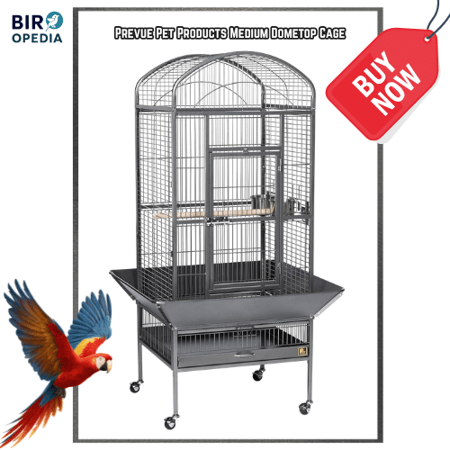 Best Bird Cage for Parrots Prevue Pet Products Medium Dometop Cage