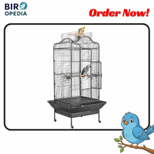 Best Bird Cages Yaheetech Extra Large Bird Cage 63