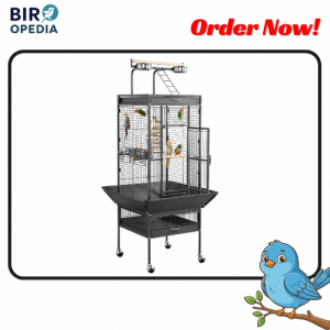 Best Bird Cages VINGLI Bird Cage with Wheels