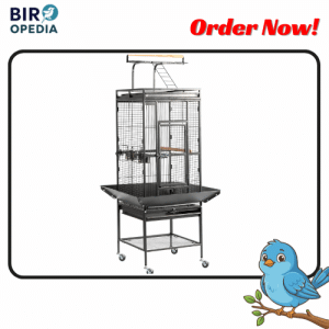 VINGLI 62" Bird Cage Best Bird Cages