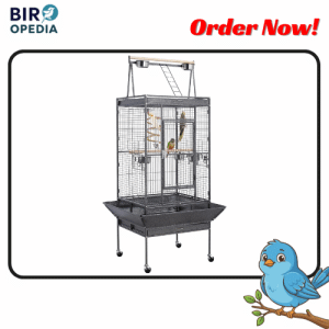Best Bird Cages Yaheetech 69" Play Top Bird Cage