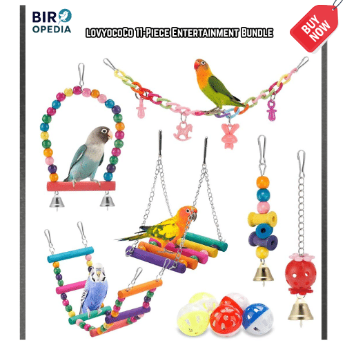 Bird Cage Accessories lovyocoCo 11-Piece Entertainment Bundle