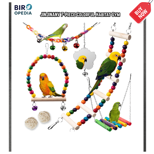 Bird Cage Accessories JINJINANV 7-Piece Colorful Habitat Gym