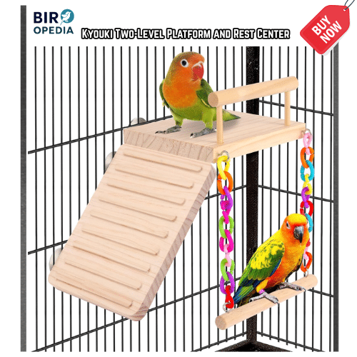 Bird Cage Accessories Kyouki Two-Level Platform and Rest Center