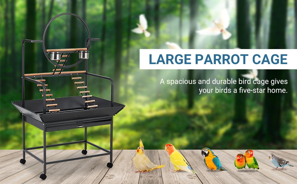Bird Cage Stand Buying Guide