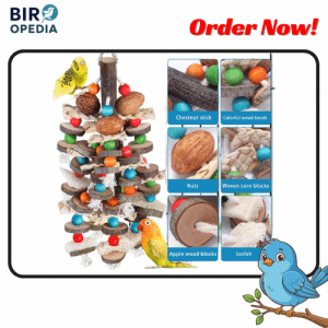 Bird Toys for Large Parrots