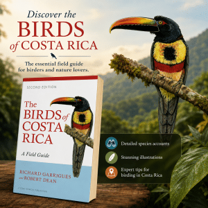  Bird Watching Locations