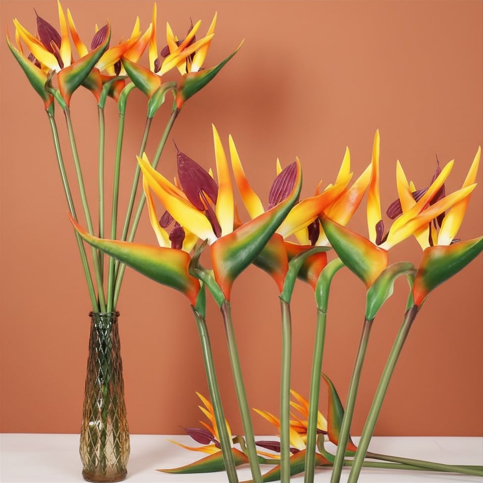 Where Can I Buy Bird of Paradise Flowers