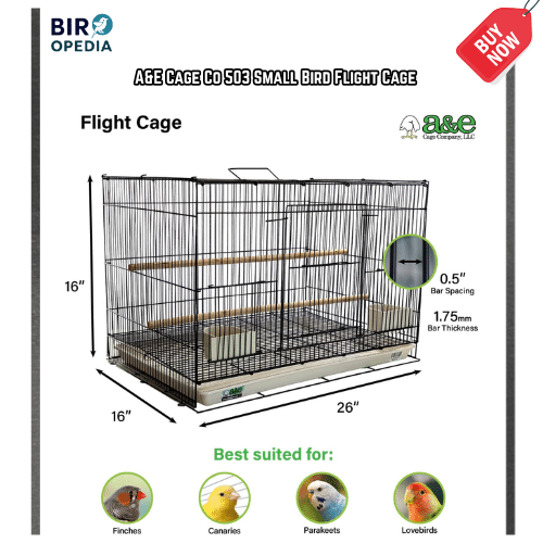 Budget Bird Cages A&E Cage Co 503 Small Bird Flight Cage