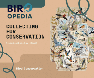 Federal Migratory Bird Stamp