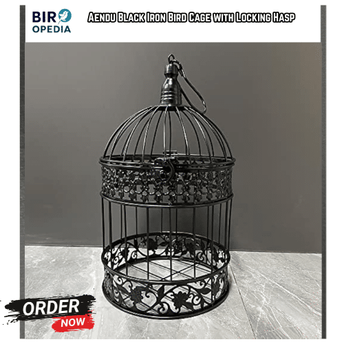 Decorative Bird Cages Aendu Black Iron Bird Cage with Locking Hasp