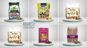 Fruit for Birds: Top Nutritious Treats to Attract Wild and Pet Birds