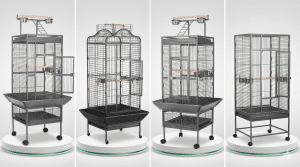 Eclectus Bird Cage: Spacious, Durable Flight Cages for Happy Parrots