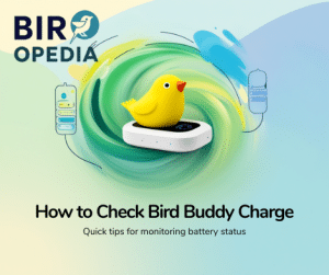 How Do You Know When Bird Buddy is Fully Charged