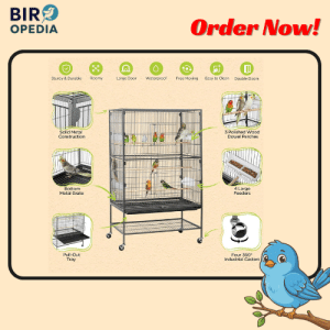 Affordable Bird Cages