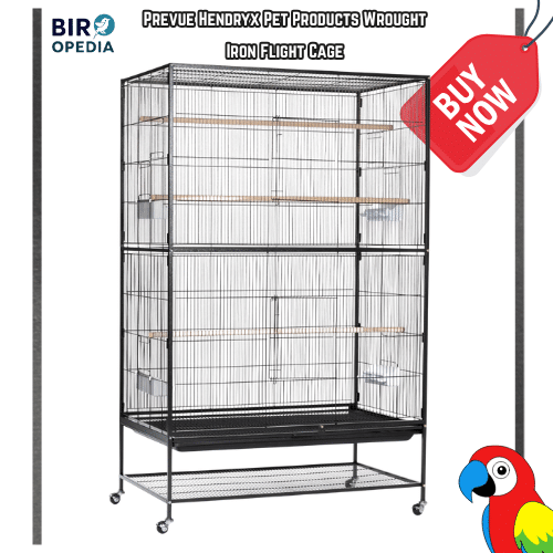 Large Bird Cages Prevue Hendryx Pet Products Wrought Iron Flight Cage