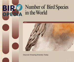 Number of Bird Species in the World