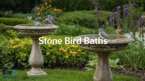 Stone Bird Baths