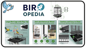 BOINN 82-Inch Bird Flight Cage with Rolling Stand Play Top Bird Cage