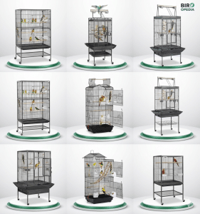 Green Cheek Conure Bird Cage