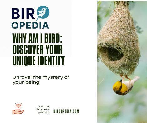 Why am I Bird
