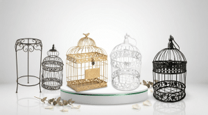 Exclusive Decorative Bird Cages That Transform Your Space