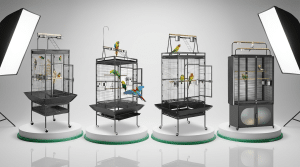 Play Top Bird Cage