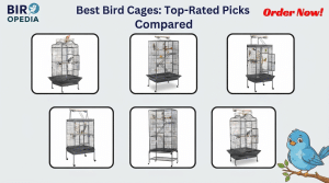 Best Bird Cages