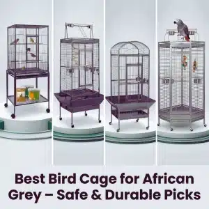 Best Bird Cage for African Grey