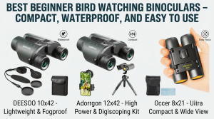 Best Beginner Bird Watching Binoculars