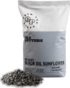 Black Oil Sunflower Seeds for Birds