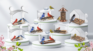 Best Bird Feeder for Window Birdwatching