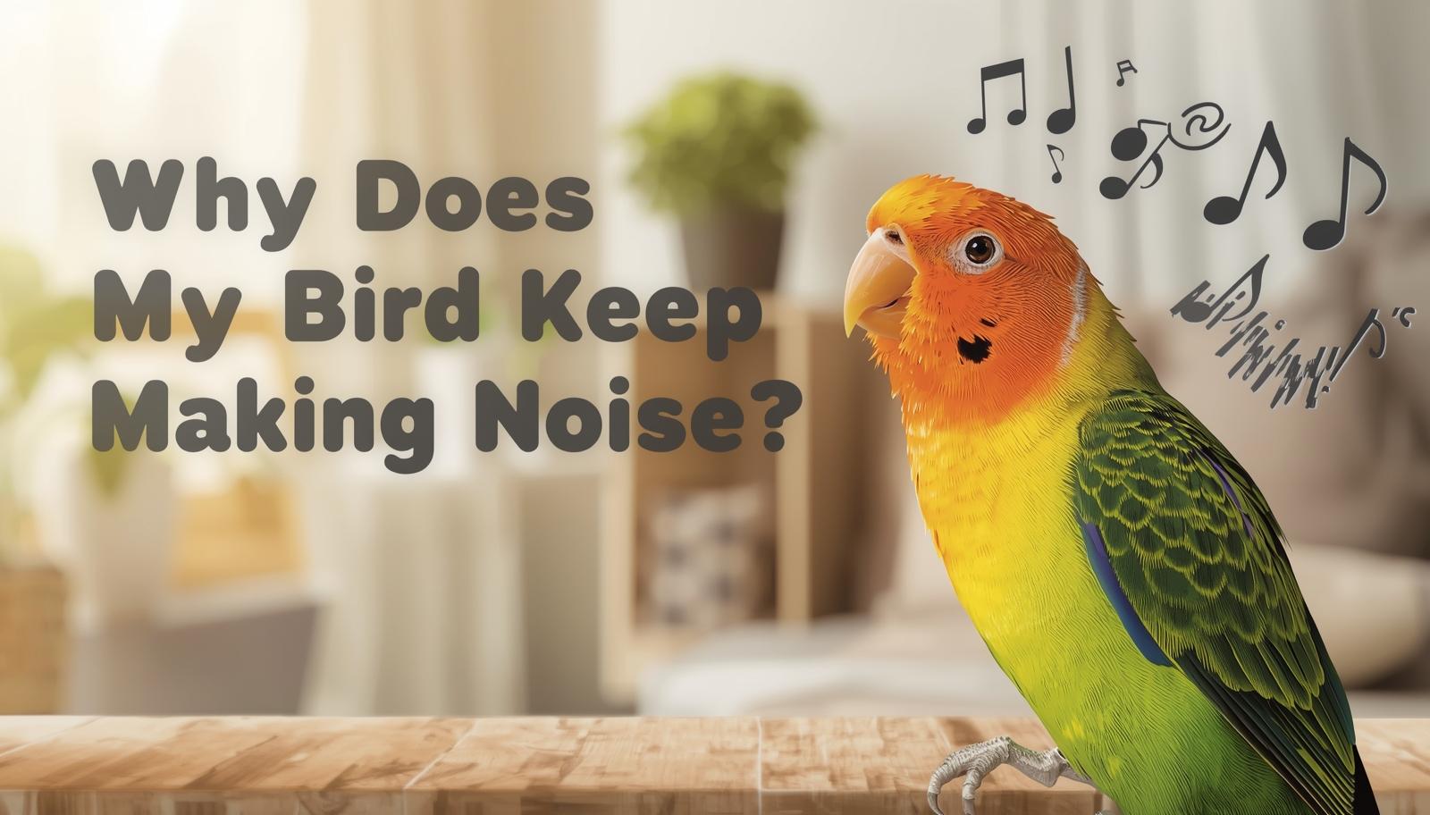 Why Does My Bird Keep Making Noise