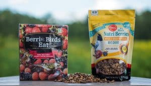 Berries Birds Eat