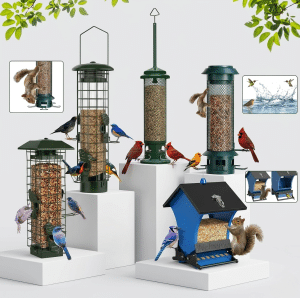 Squirrel Proof Bird Feeder Reviews