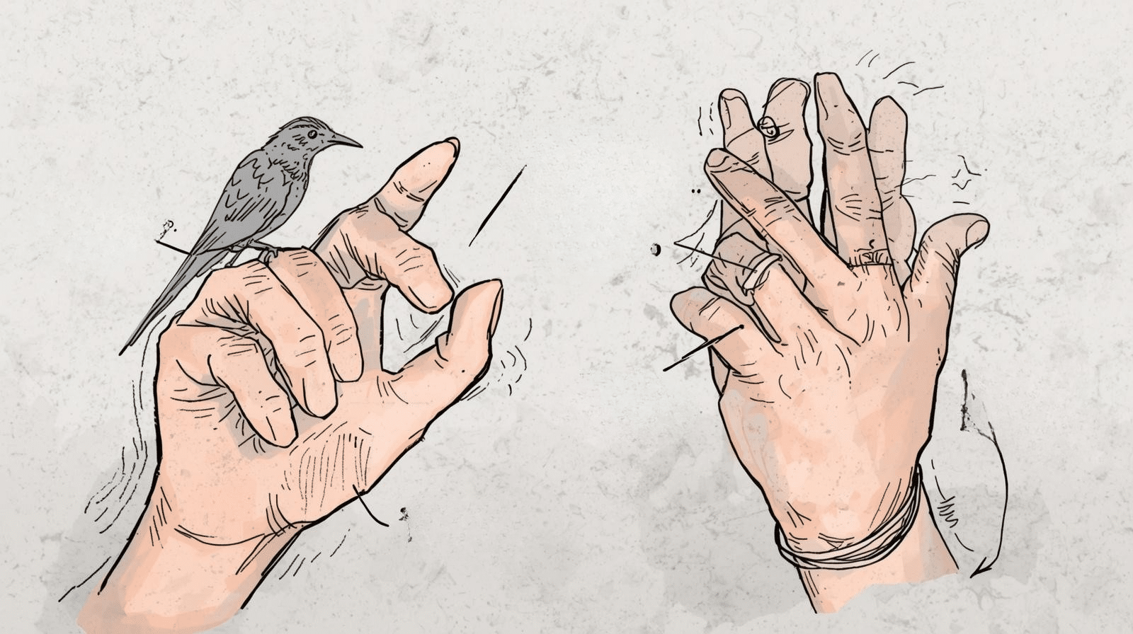 How to Make Bird Noises with Your Hands