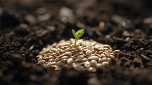 Will Wild Bird Seed Grow? Surprising Facts Explained
