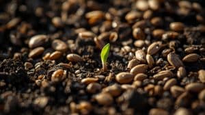 Will Wild Bird Seed Grow? Surprising Facts Explained