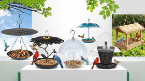 Top Covered Bird Feeders