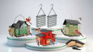 Best Suet Bird Feeders