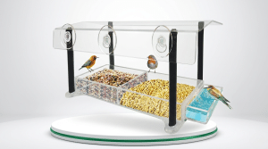 Metal Window Bird Feeder: Is the Nature Gear Feeder Worth Buying? (Honest Review)