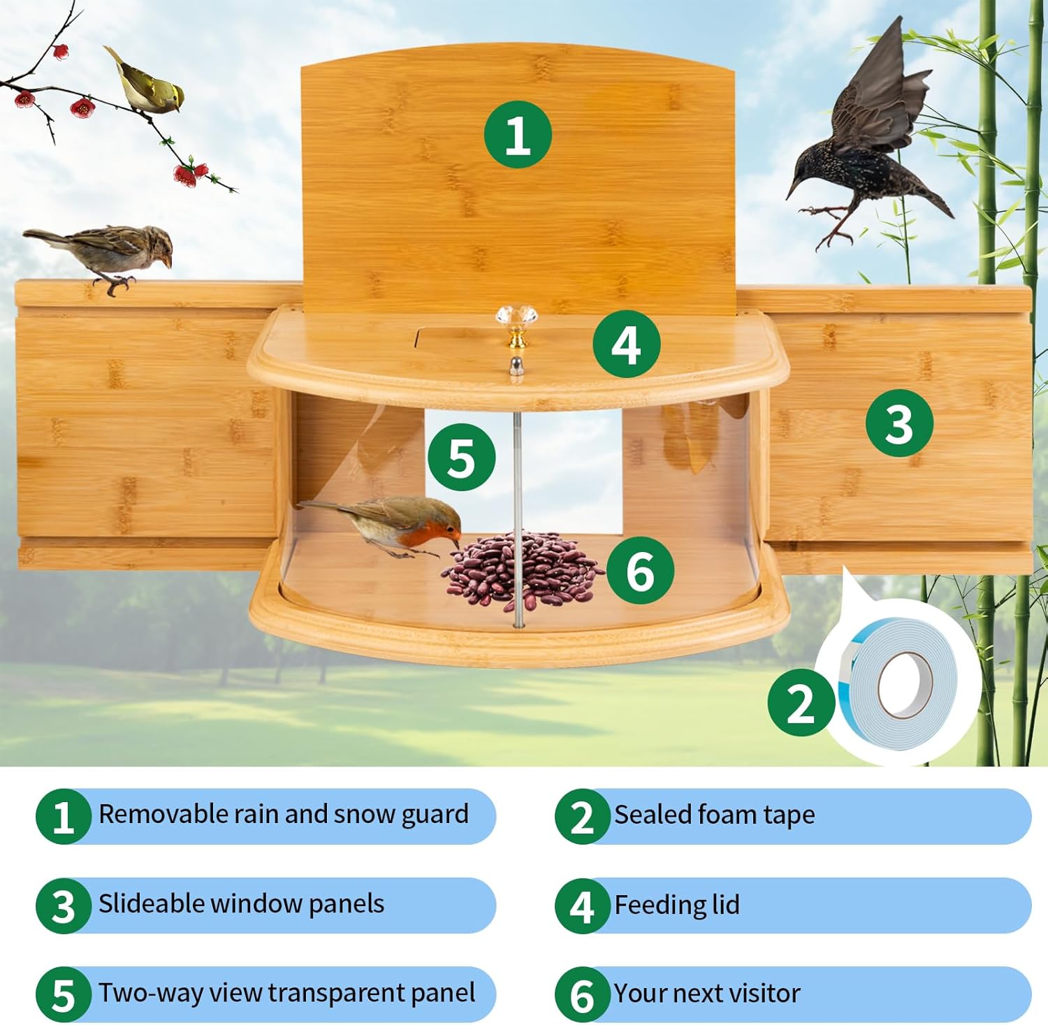 Wooden Window Bird Feeder: Why I Chose the FL Falatier Bamboo Feeder (Honest Review)
